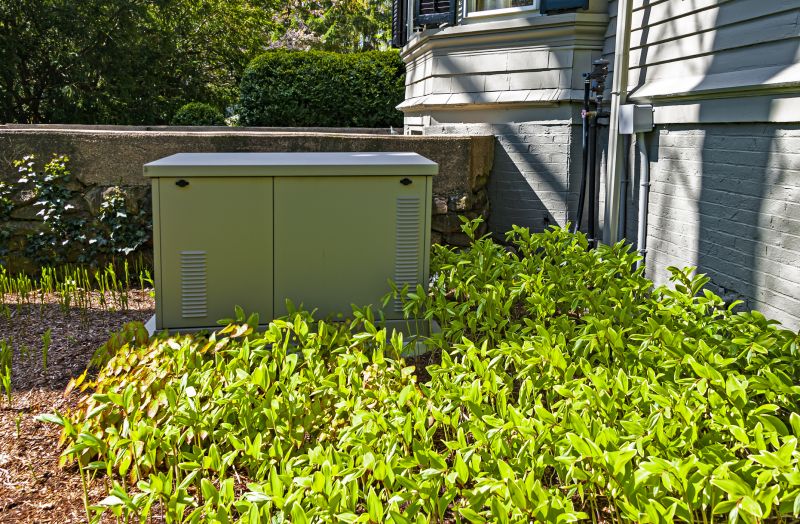 Residential Backup Generator in a Garden